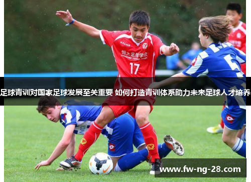 足球青训对国家足球发展至关重要 如何打造青训体系助力未来足球人才培养