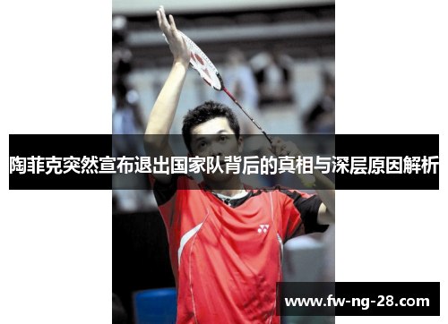 陶菲克突然宣布退出国家队背后的真相与深层原因解析