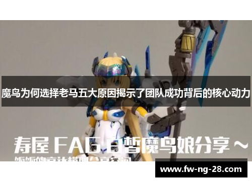 魔鸟为何选择老马五大原因揭示了团队成功背后的核心动力