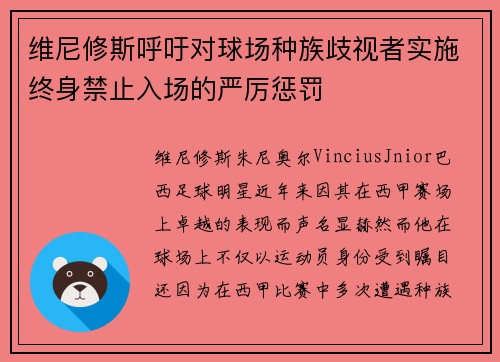维尼修斯呼吁对球场种族歧视者实施终身禁止入场的严厉惩罚